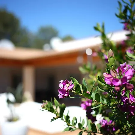 Alba Villa